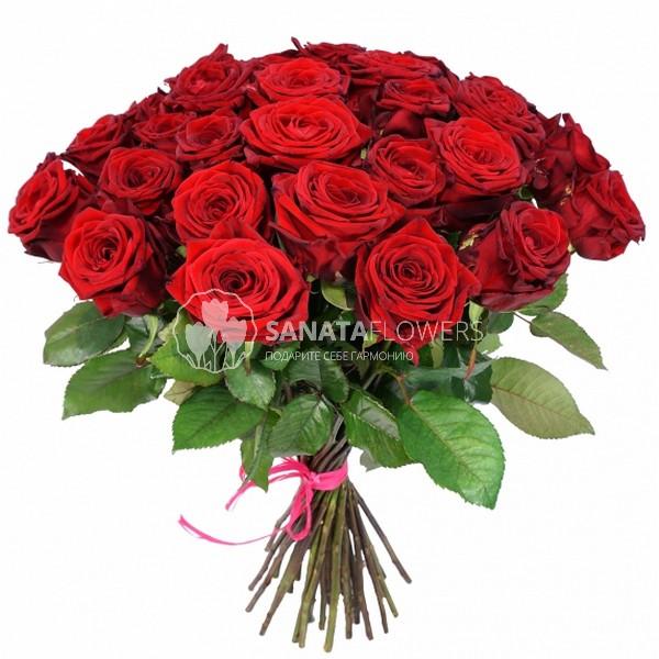 Купить 20 роз. Фотография букета роз в студии. Купить 35 красных роз в Москве.